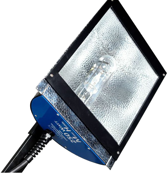 250W Metal Halide